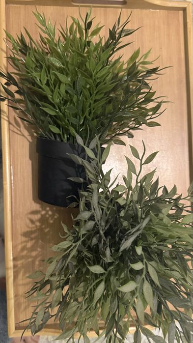 Искусственные расстения IKEA (икеа) цена общая