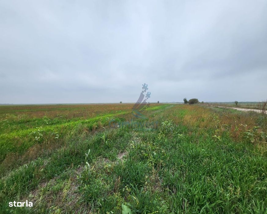 Gaminvest Teren intravilan de vanzare in Nojorid, Bihor, V3019