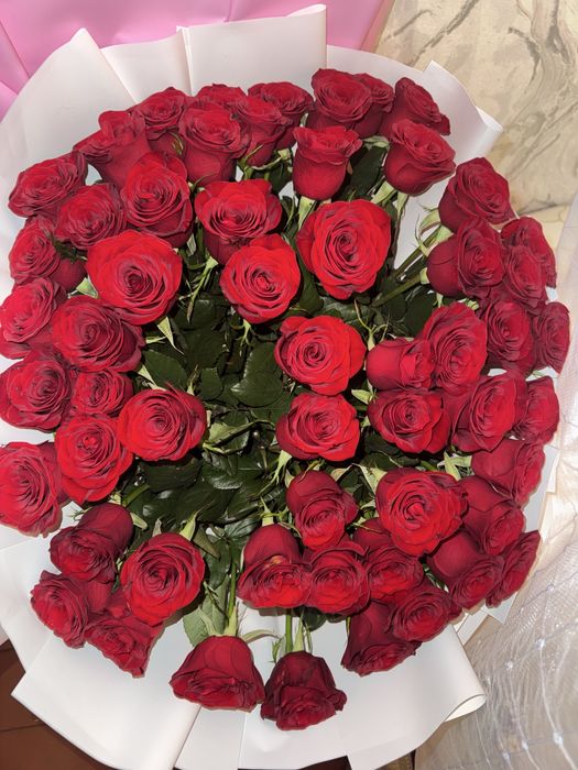 Роза 51 шт, 25 шт Свежий, красивый, голландский розы