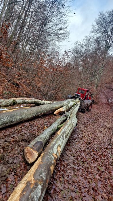 Lemn de foc transport inclus