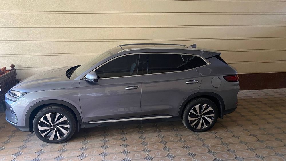 BYD. Чинпийон. . 605.