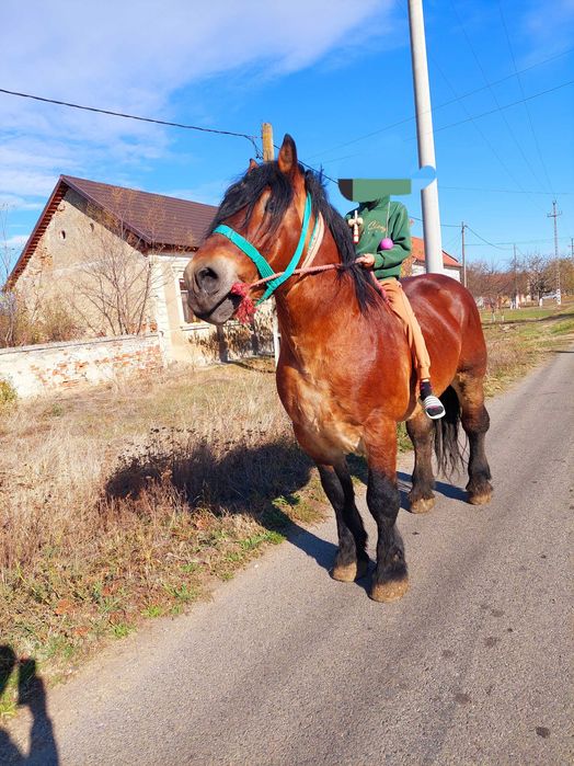 Harmasar foarte bland