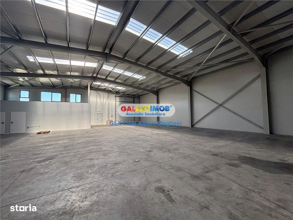 Inchiriere hala depozitare Parc Industrial TBM Rudeni