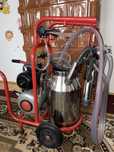 Mulgatoare vaci cu doua posturi, bidon inox