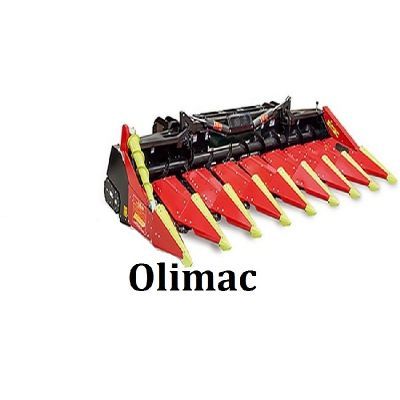 pinioane olimac drago