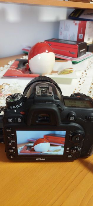 Helios 40-2, 85mm f1.5 Monster bokeh,  Nikon, CIP confirmare focus