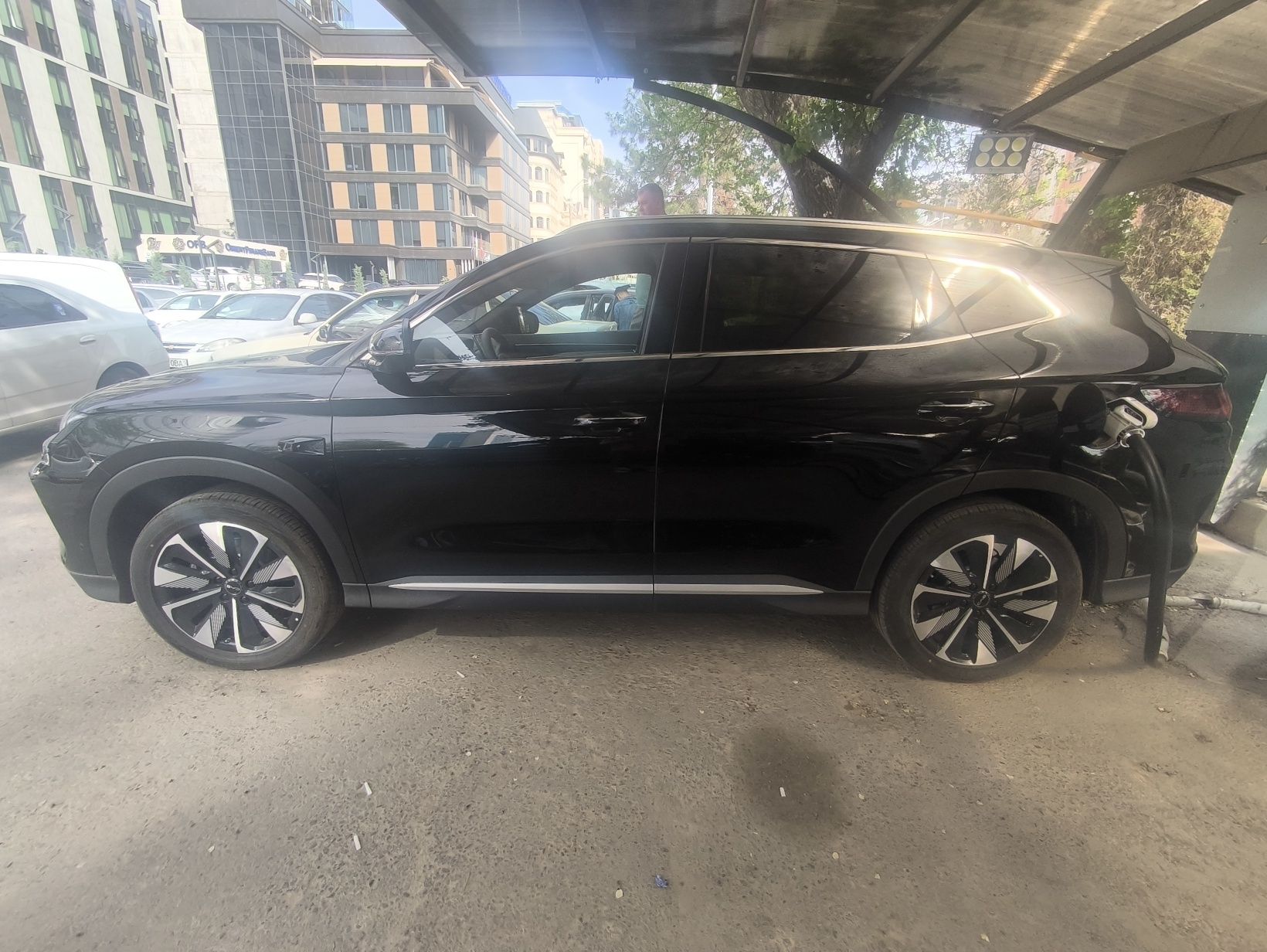 BYD song plus champion 605