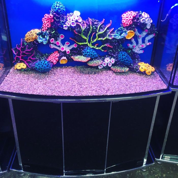 Аквариум умумий обём 450 литр енги ишлатилмадан zakazgayam qiberamiz