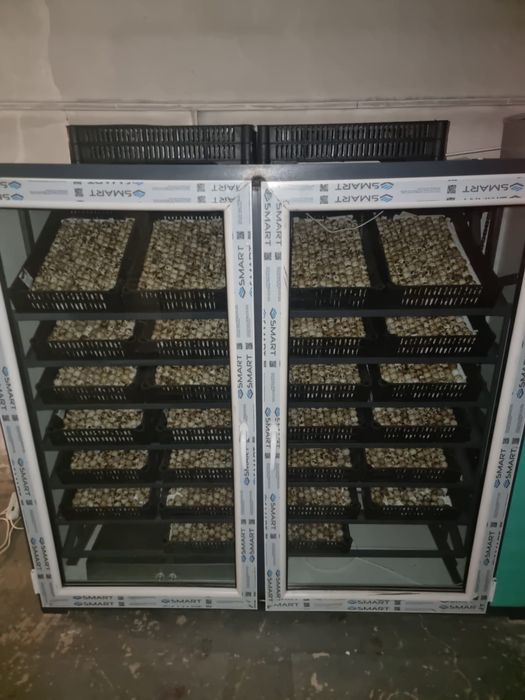 Продам инкубатор для яиц