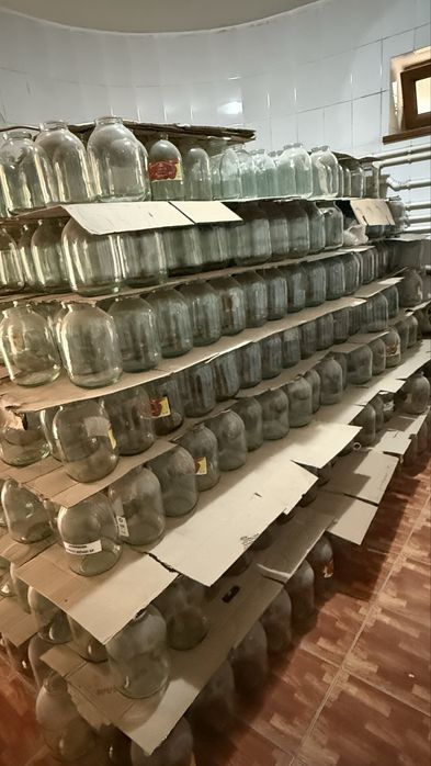 3 litrli bonkalar sotiladi soni 1000 tacha lezviyali va lezviyasiz