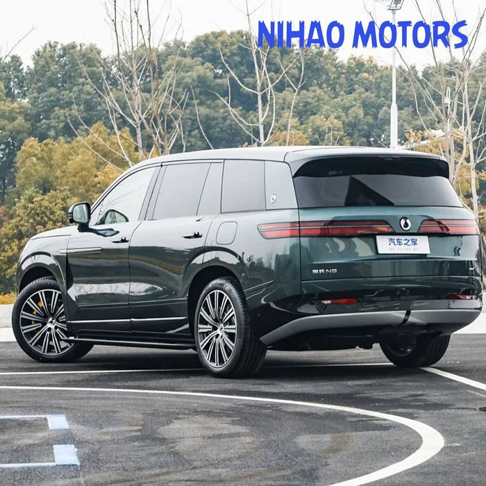 Denza N9 — (Под заказ)
