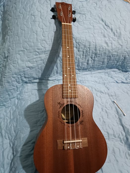 Укулеле новая концерт