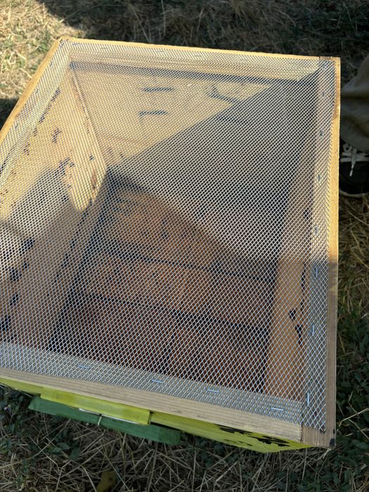 Vand cuti stupi albine