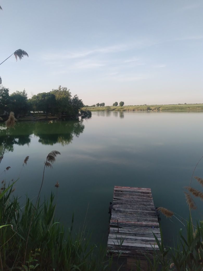 дача на берегу таш моря сдаётся по суточно. Только для семьи
