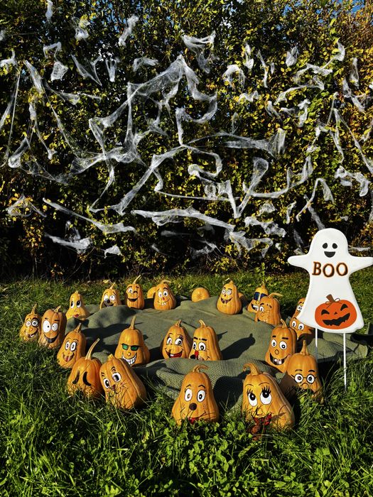 Dovleci decorativi Halloween