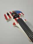 Vioara Zeta 5 corzi U.S.A.