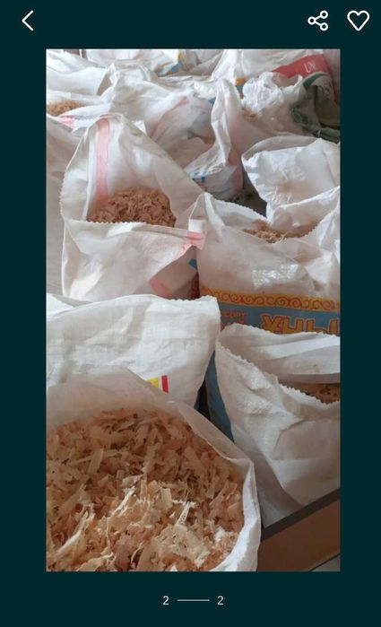 Продются опилки стрижки сухие. Из сосны в мешках. 300тг мешок