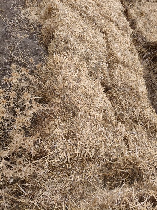 Бидай сабан 600 тг