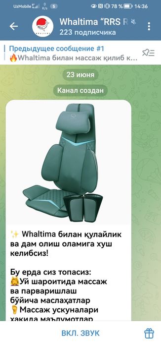 Вибромассажная стул