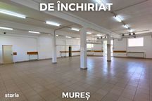 Hală industrială multifuncțională | zona semicentrală