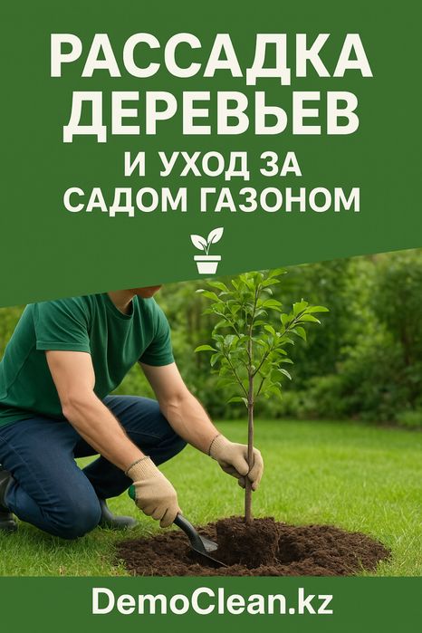 Профессиональная рассадка деревьев и уход за садом от DemoClean.kz!