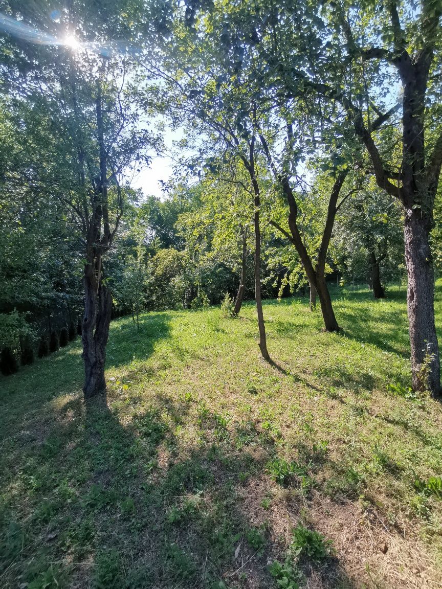Închiriez teren intravilan in Comarnic