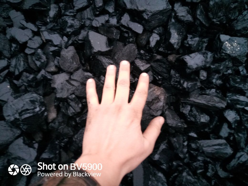 Колиброванный уголь в мешках и россыпью