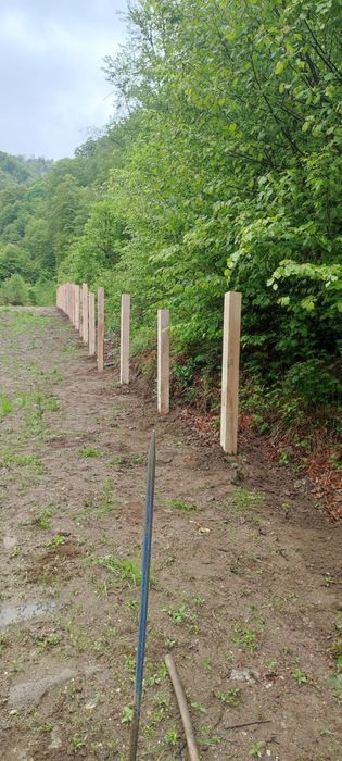 Stalpi de gard din stejar