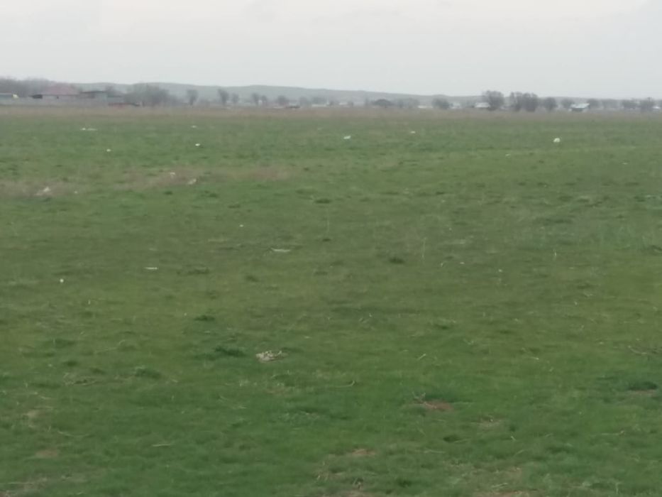 Продам  ух гектаров 5