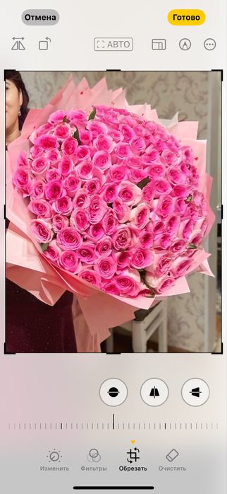 101 роза хорошем состоянии