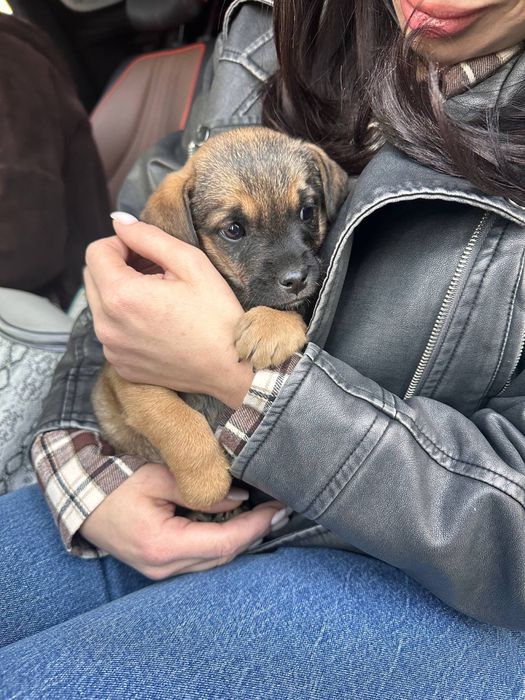 Ищем любящую семью