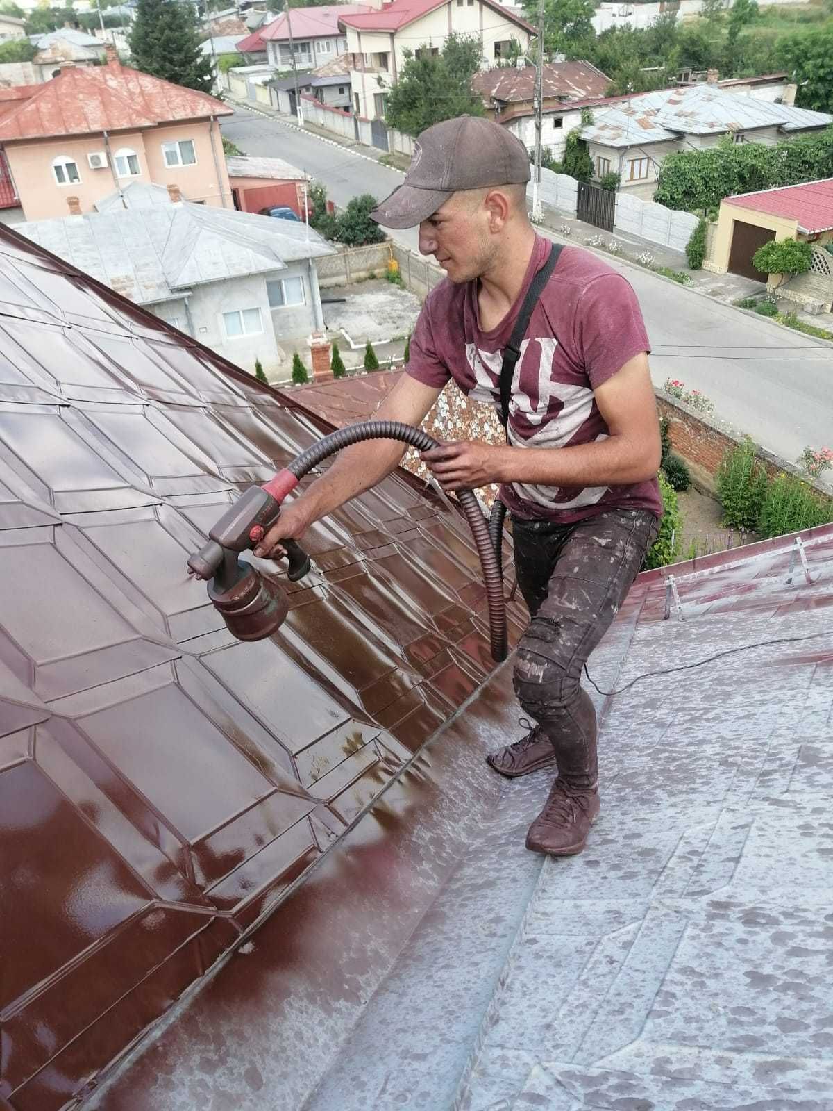 Vopsim orice tip de tabla pe casa, garduri, porti si alte suprafete