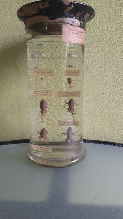 Obiecte de colectie