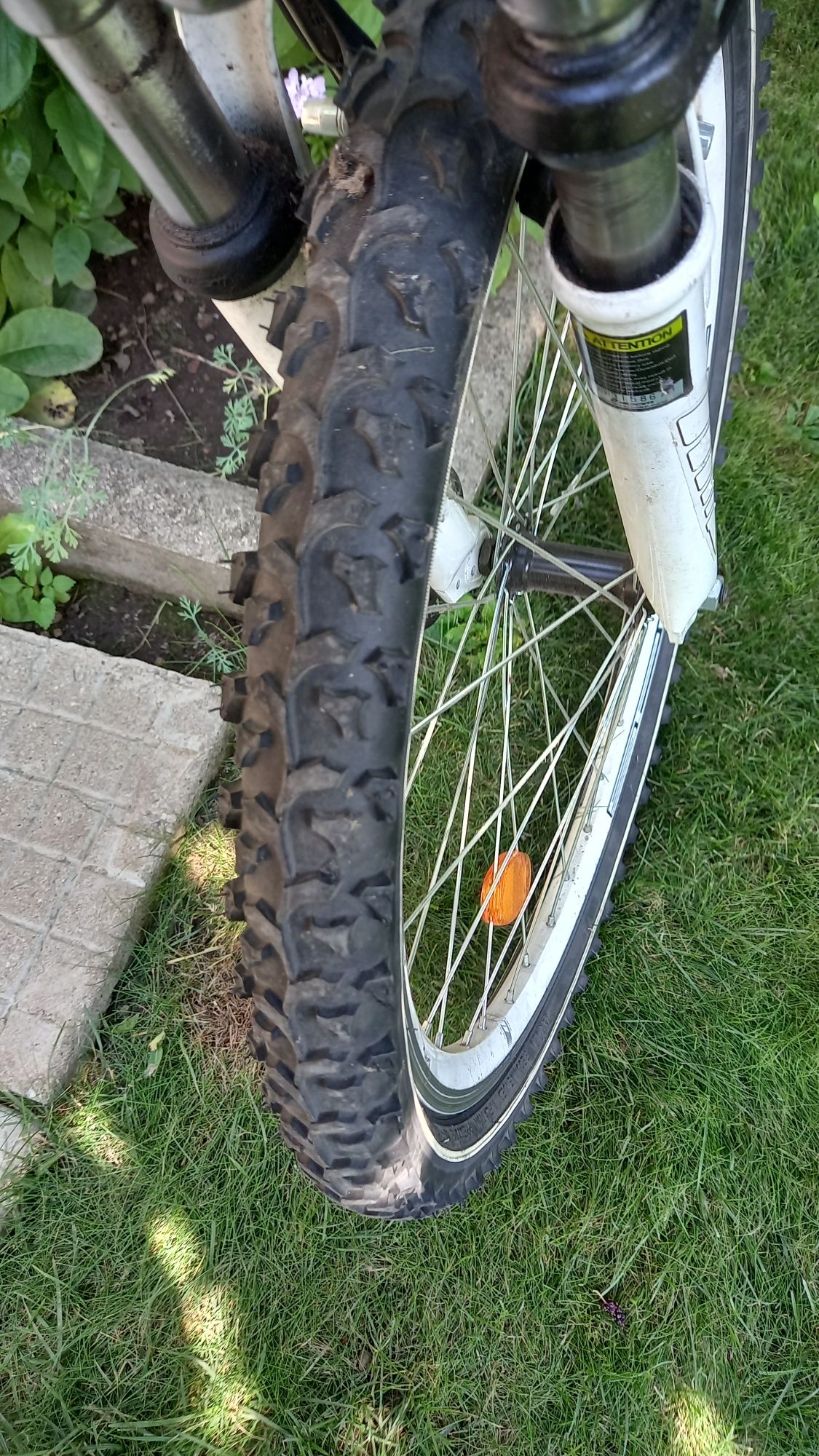 SPRINT Bachini Wasp 24