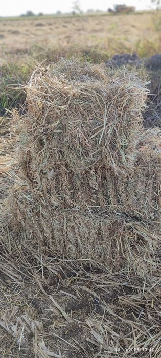 Продаются тюки рисовой соломы.