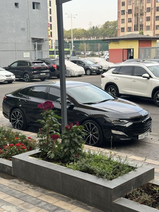 Malibu diska R20