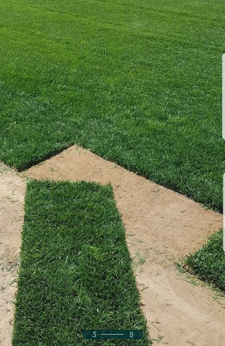 Gazon rulou sport/ tuia Smaragd/ asiguram transport și montaj