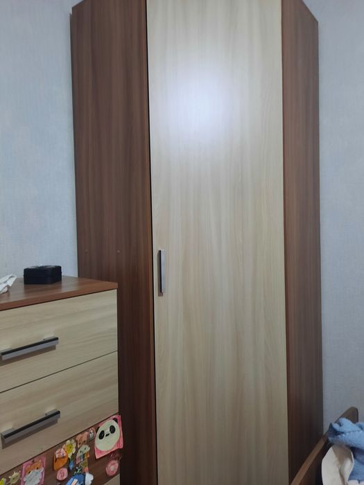 Продам шкаф 2 в 1 полки и платяной