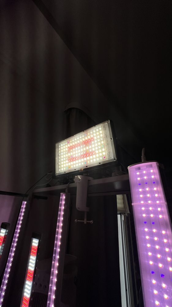Прожектор для растений. полный спектр 200w