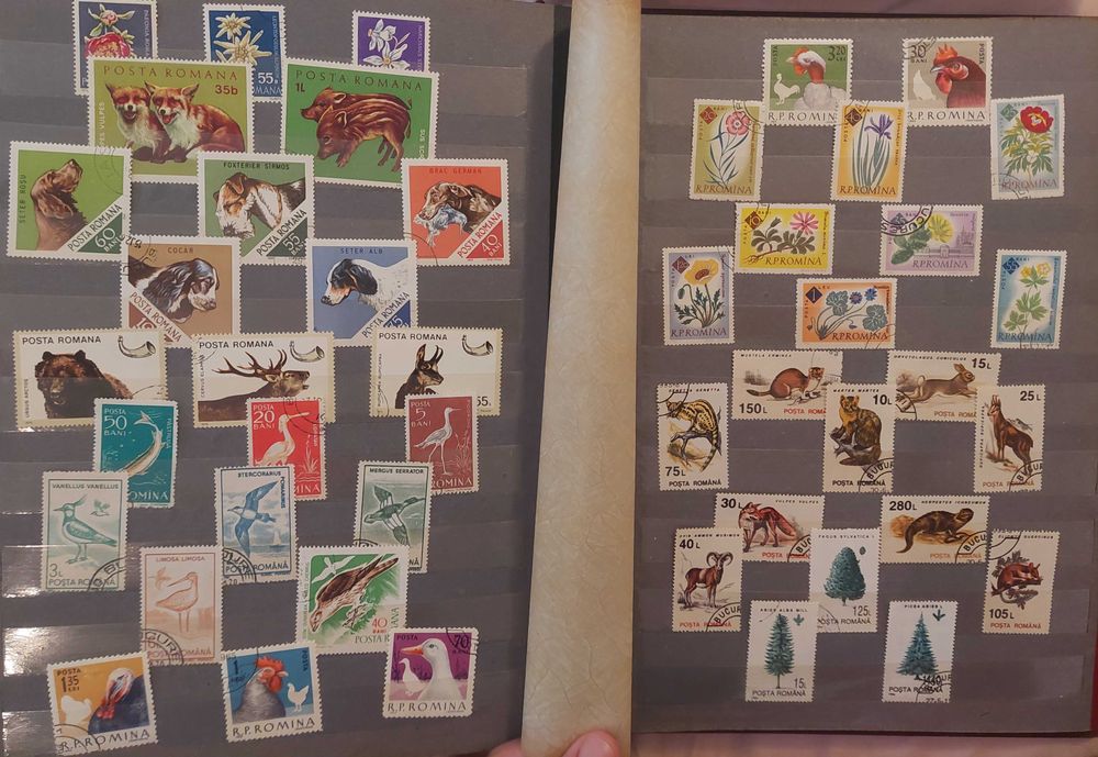 Clasor format A4 cu timbre romanesti, bonus 50 timbre.