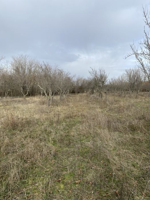 De Vanzare Teren Cocu  Sup 9440 mp Sat Popesti pret 12 lei mp