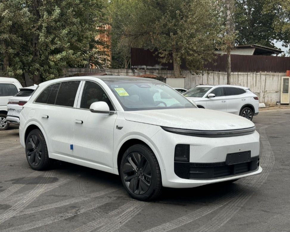 Lixiang Li 6 pro cip