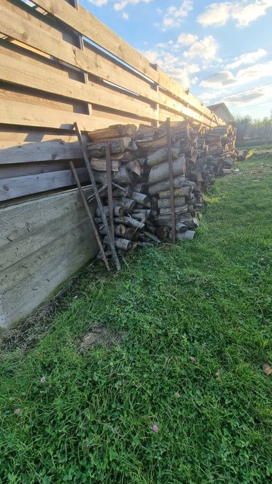 Lemn nuc pentru foc