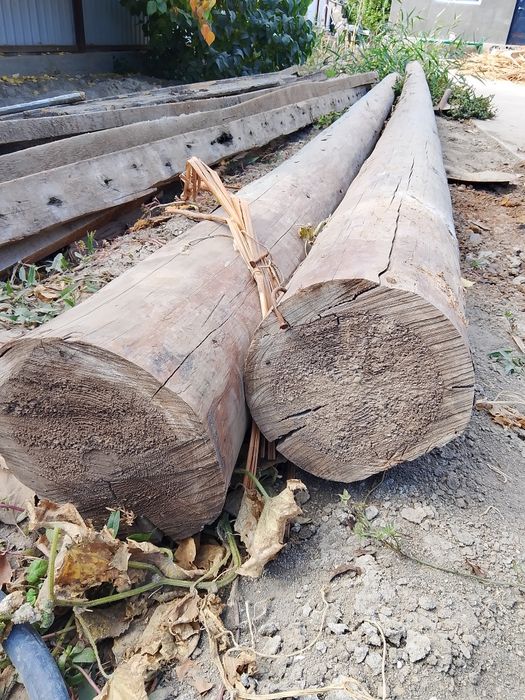 Тастама сатылады