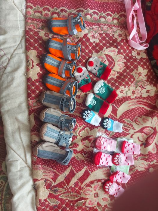 Для щенков кросовочки.