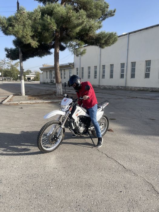 Mataskil haydashni oʻrgatamiz