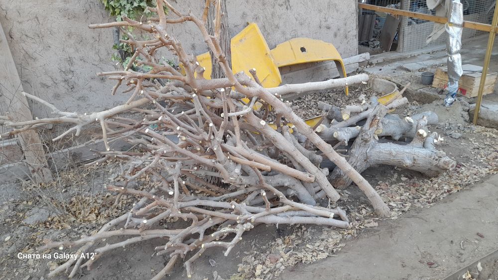 Продам дрова от тутовника.