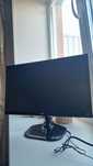 Монитор LG 23MP55DA