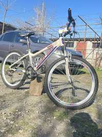 Vand bicicleta 300 ron