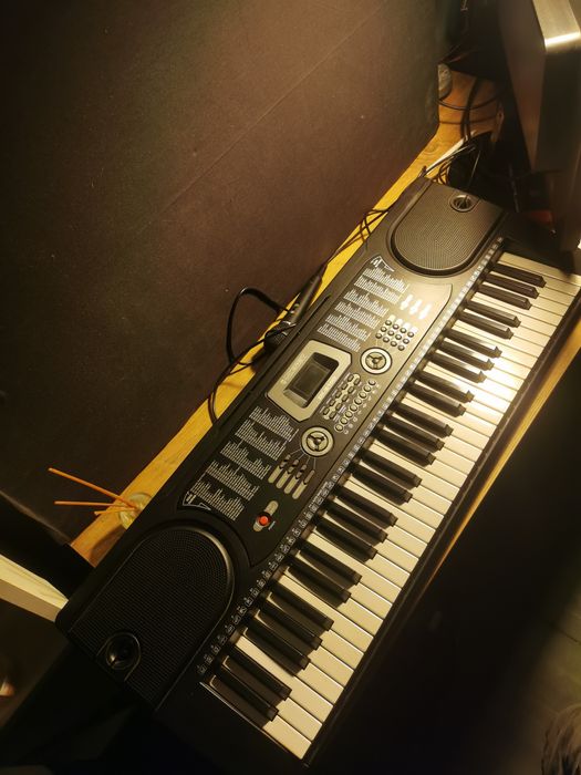 Orga electronica McGrey EK-6100 plus Microfon dinamic Hama dm-20